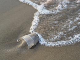 В Псковской области убрали около 18 км береговой линии водных объектов