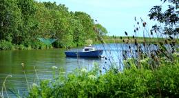 Запрет на использование моторных судов на водоемах Псковской области вводится с 10 апреля по 15 июня