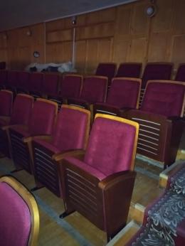 В детскую музыкальную школу № 2 в Пскове по нацпроекту поступили новые инструменты, мебель и учебные пособия 