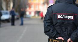 После трагедии в Великолукском районе полиция проверит детские образовательные организации 
