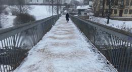 В Пскове введены дополнительные меры по предупреждению чрезвычайных ситуаций из-за непогоды