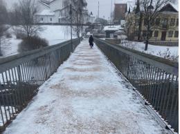 В Пскове введены дополнительные меры по предупреждению чрезвычайных ситуаций из-за непогоды