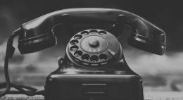 В Псковской области стартует работа горячей линии «Антиконтрафакт»