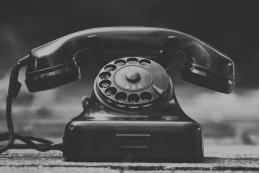 В Псковской области стартует работа горячей линии «Антиконтрафакт»