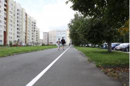 Концепцию развития велотранспортной системы разрабатывают в Пскове