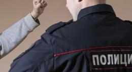 Псковичу, ударившему полицейского, грозит до 5 лет лишения свободы