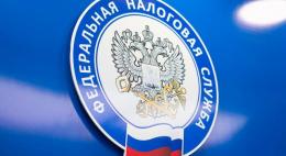 За восемь месяцев 2019 года инспекцией УФНС России выявлено 10 лиц, осуществляющих предпринимательскую деятельность без государственной регистрации
