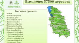 На территории региона высажено 57,5 тысяч деревьев