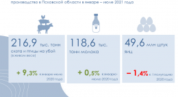 Производство продукции животноводства в январе-июле 2021 года