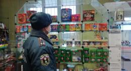 Сотрудники МЧС провели профилактический рейд в Себежском районе