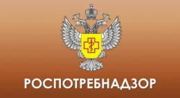 Псковский Роспотребнадзор усилит профилактические меры в период ганзейских дней
