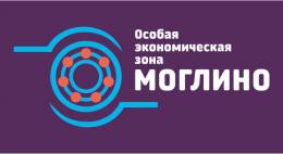 Лишиться статуса резидента могут 1-2 компании, ранее заявившие о планах работать в «Моглино»