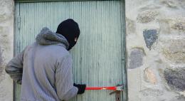Злоумышленник похитил технику и ювелирные изделия у доверчивой псковички