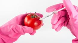 Россия избавится от импорта продуктов с ГМО