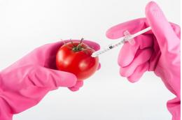 Россия избавится от импорта продуктов с ГМО