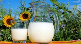 Псковская школьница получила грант на производство молочной продукции