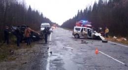 В ДТП под Вологдой погибла жительница Псковской области, животные не пострадали