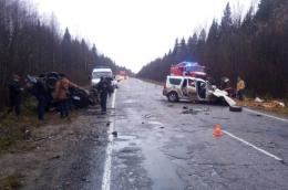 В ДТП под Вологдой погибла жительница Псковской области, животные не пострадали