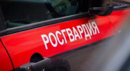 В Пскове росгвардейцы задержали гражданина, находившегося в федеральном розыске