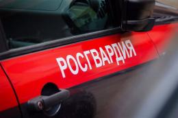 В Пскове росгвардейцы задержали гражданина, находившегося в федеральном розыске