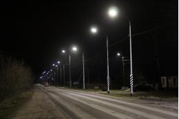 Благодаря нацпроекту деревню Подкрестье Пушкиногорского района осветят 37 фонарей