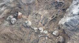 Останки 100 солдат погибших при освобождении Локнянского и Новосокольнического районов обнаружены в ходе «Вахты Памяти» силами 4 поисковых отрядов