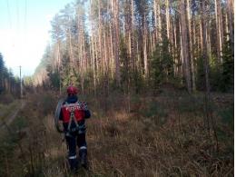 В Псковской области восстановлена основная линия электросети