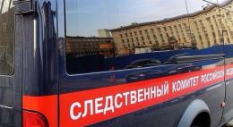 Тело новорожденного ребенка обнаружили в Пскове