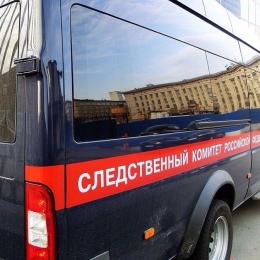 Тело новорожденного ребенка обнаружили в Пскове