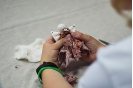 Мастер-класс по изготовлению Пасхальной тряпичной куклы пройдёт в Пскове