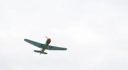 Завтра на братском захоронении в Острове-3 состоится церемония перезахоронения останков советских летчиков