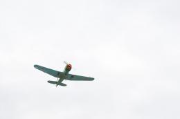 Завтра на братском захоронении в Острове-3 состоится церемония перезахоронения останков советских летчиков